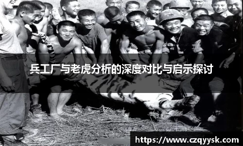 兵工厂与老虎分析的深度对比与启示探讨